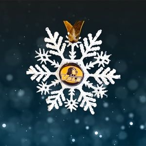 Univ Of Tennessee VOLS Handmade Snowflake *NEW*